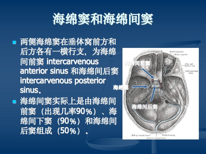 神经解剖:脑血管之动脉系和静脉系(全227页)