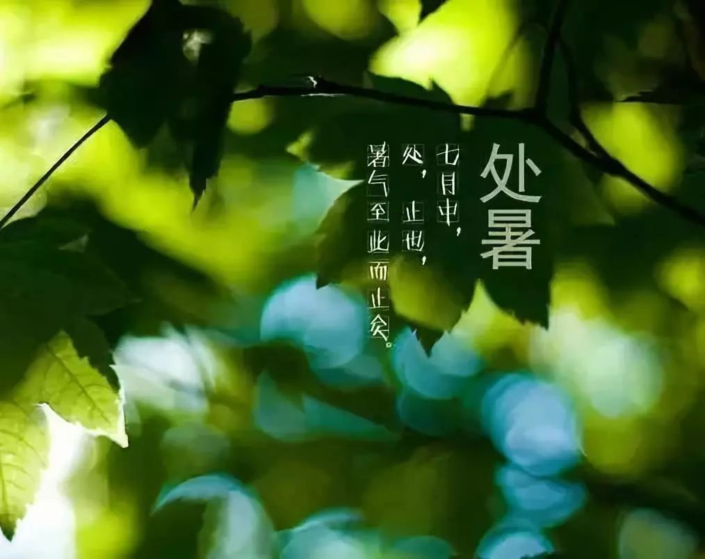 月亮越过秋字猜成语_看图猜成语(2)