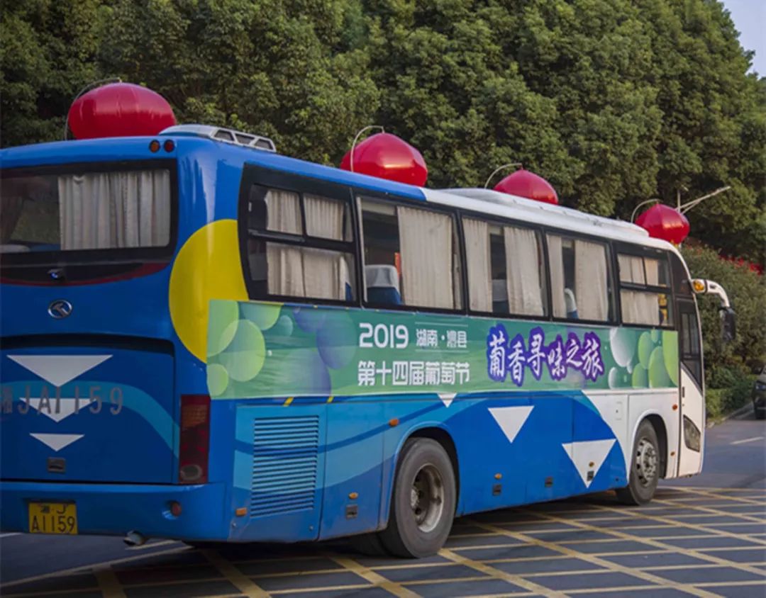 湖南·澧县第十四届葡萄节全回顾