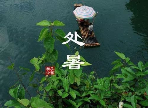 今日什么时候处暑 826e214d68444173b6dd30870d4cd981.jpeg