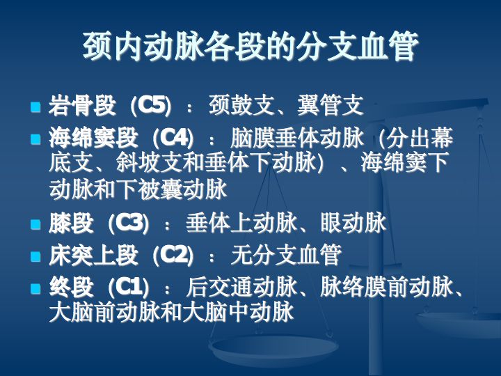 神经解剖:脑血管之动脉系和静脉系(全227页)
