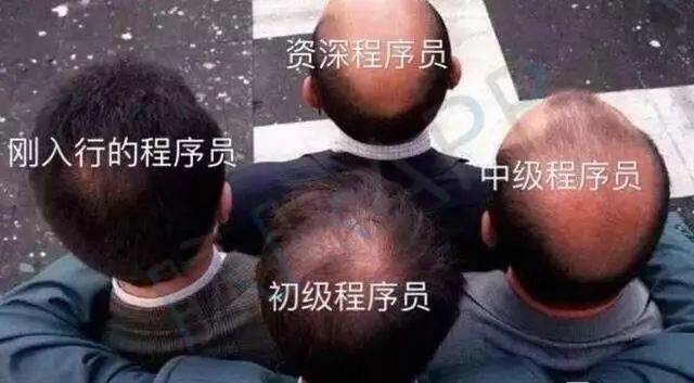 拿什么拯救你,程序员的发际线