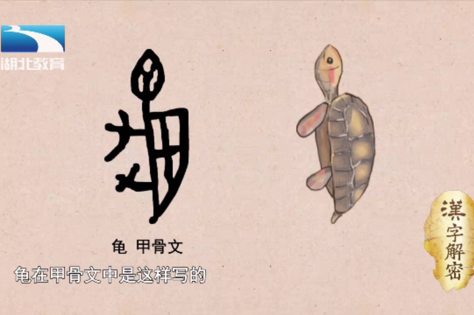 你知道甲骨文的龟是怎么写的吗?