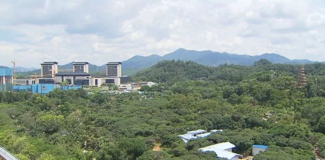 南山“优环境百日攻坚行动”交出靓丽成绩单 确保西丽湖国际科教城落地_西丽街道