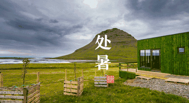 今日处暑,该吃它了!比猪肉,牛肉便宜多了,这么做清热润燥又下饭