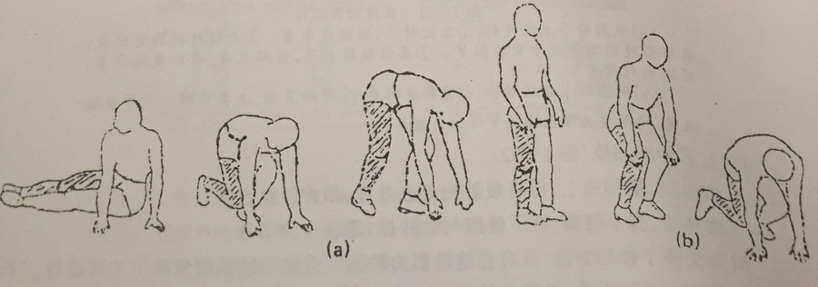 ⑤ 跨越障碍物训练