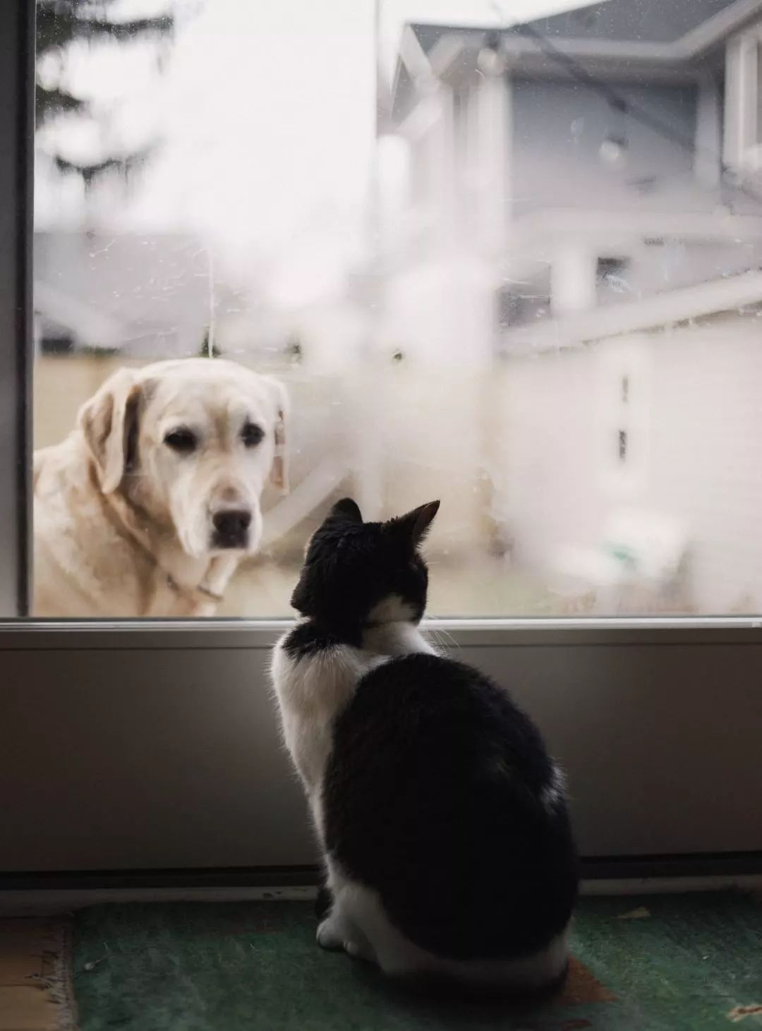 桨话题 | 泪失禁体质是什么体验