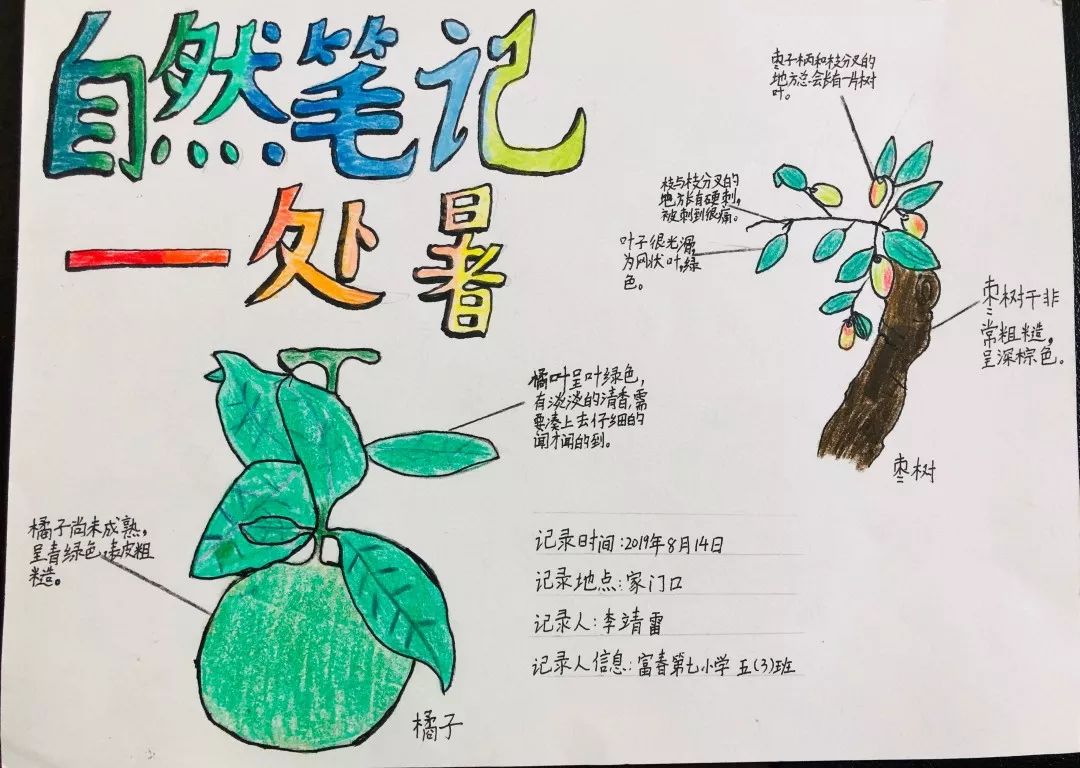 【二十四节气】处暑:处暑不是暑,凉秋知我意