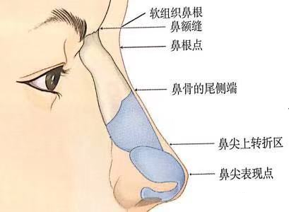 经常捏鼻子可以让鼻梁变高?这你也信?