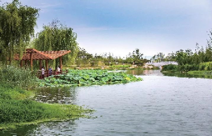 商务办公特色步行区,碳谷湖公园特色步行区和湿地公园特色步行区四个
