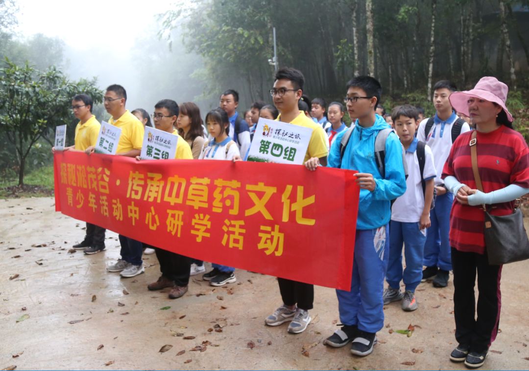 爱中医知中药思茅区青少年活动中心师生中医药研学活动走进淞茂谷