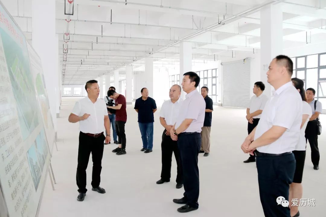 曹殿军到临港开发区调研
