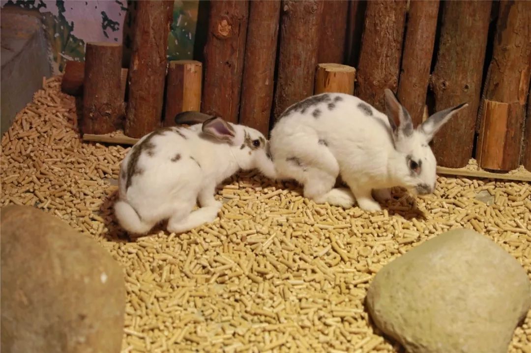 逛到嗨!与1000多只神奇动物亲密接触,地铁1号