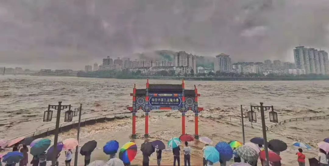 雅安雨城区gdp_雅安雨城区