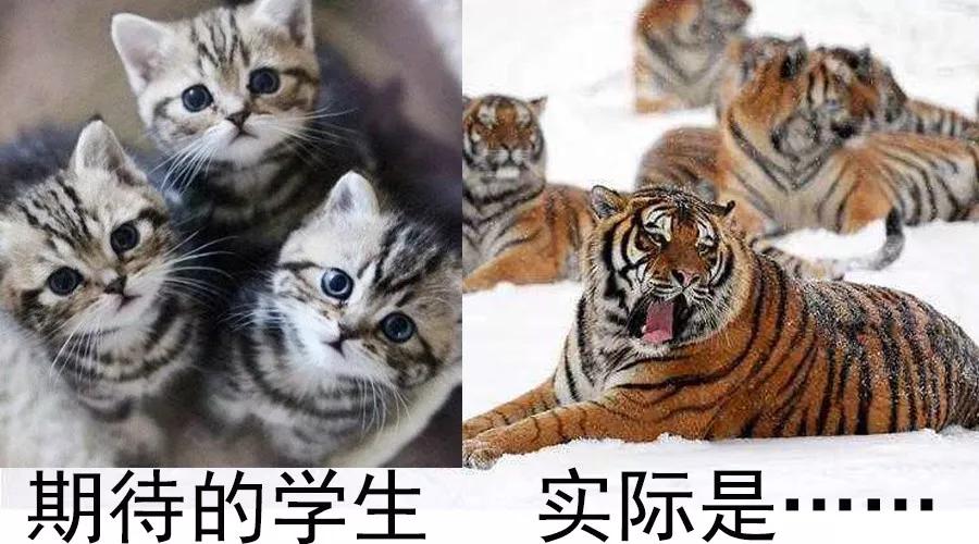 只有当老师后才明白的事情,你中了吗?