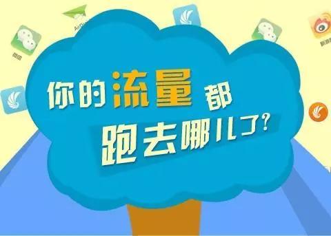 提高宝贝排名_神奇宝贝神兽排名(2)