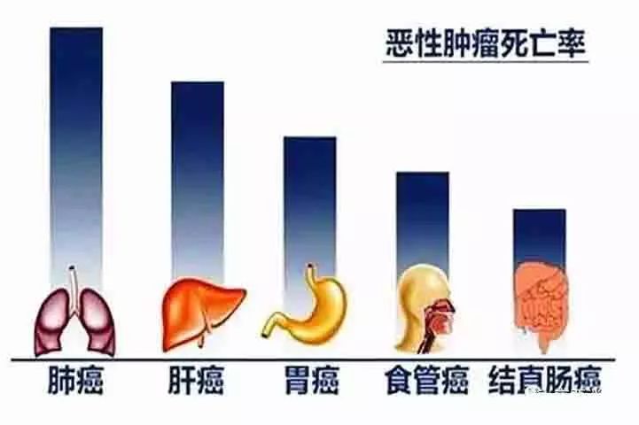 全国人口死亡率_全国人口出生率 死亡率10年数据(3)