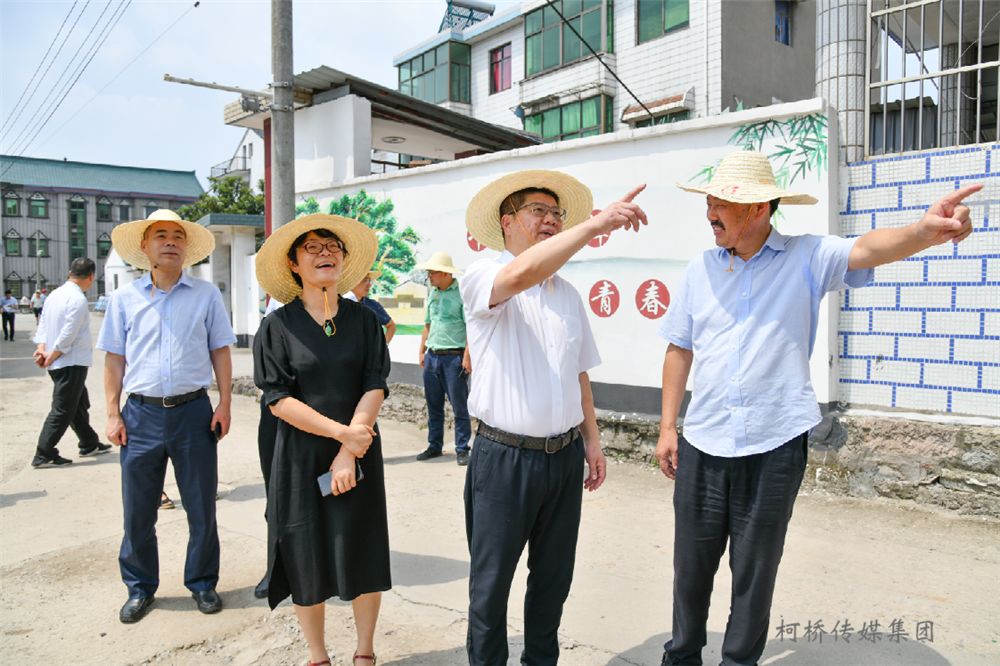 马鞍镇经济总量_仪陇县马鞍镇(3)