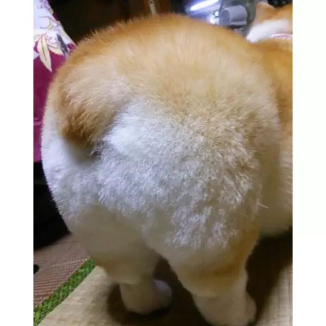 00fd10d9e379409c9d1e10a41b8c31b7.jpeg