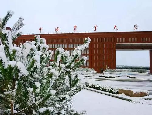 经过百年发展和积累,中国农业大学已经发展成为一所研究型大学,形成