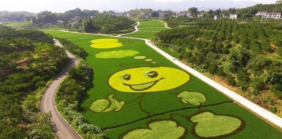 全国农村人居环境示范区,全国休闲农业和乡村旅游精品品牌,重庆现代