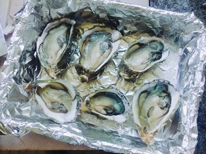 如何处理生蚝的最佳方法 04bb48e89a894ef5a618b26f135abcb5.jpeg