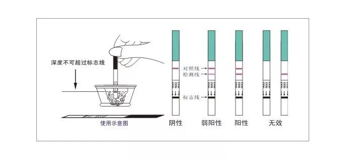 四胆双搭怎么用_老师怎么画(2)