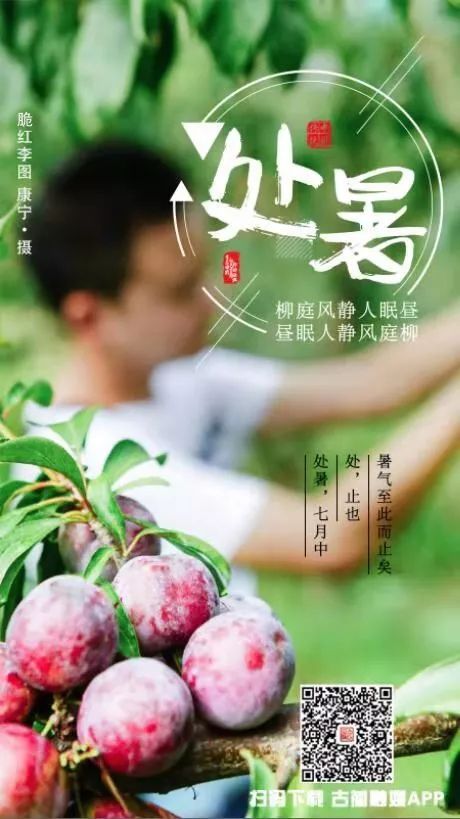 今日什么时候处暑 0ade79f461704b628baa5fa5d2dfa74d.jpeg