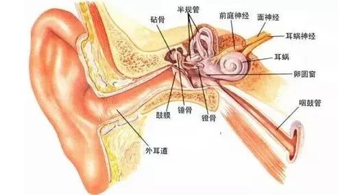 用什么方法可以快速去除耳耵聍 1dbb129a415945c5b0c1983721f0857c.jpeg