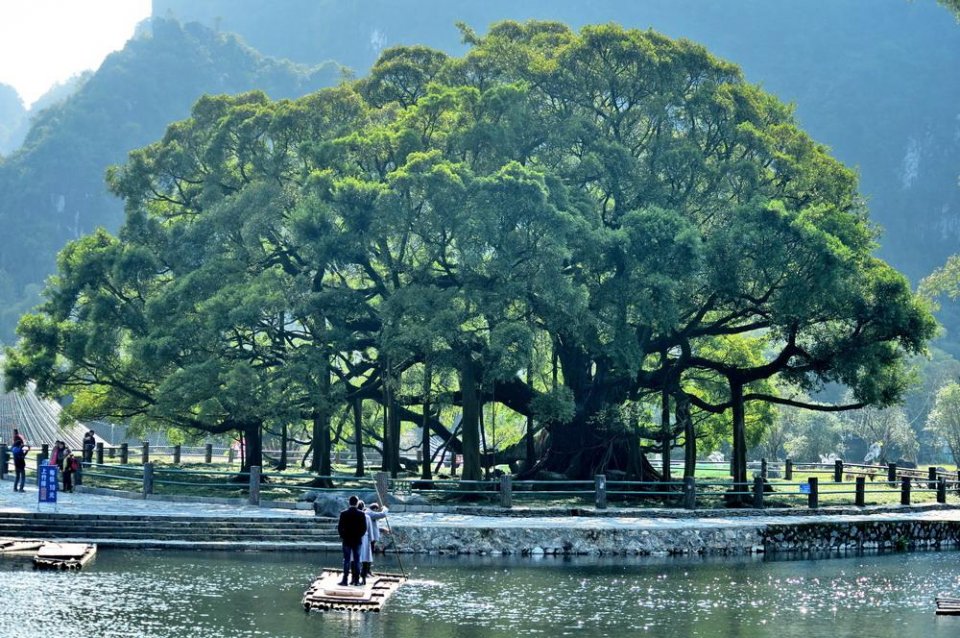 桂林人口流入_桂林山水图片(2)