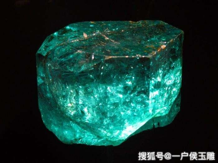 什么是黄金树 236e452699fe459d8e3ae3752f473c9b.jpeg