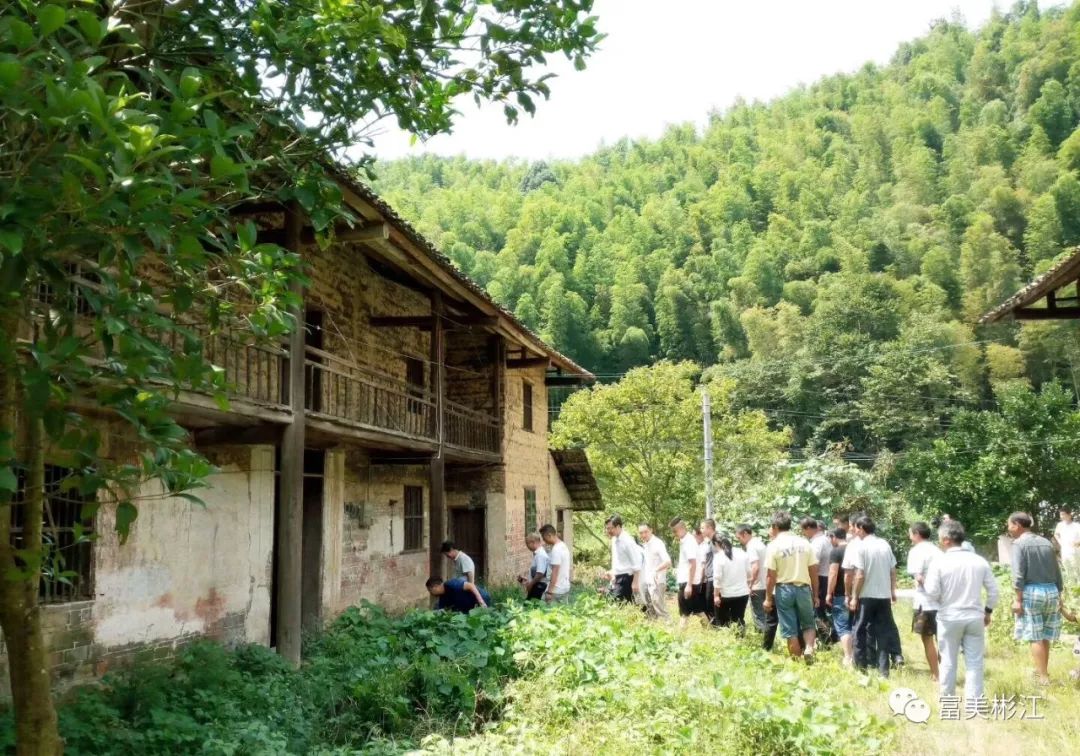 秋阳依然火热,郁郁葱葱的南岱山谷,凉缦习习.