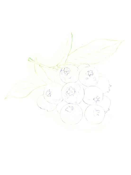 30b39d271a5943f991ac522f65a127c7.jpeg