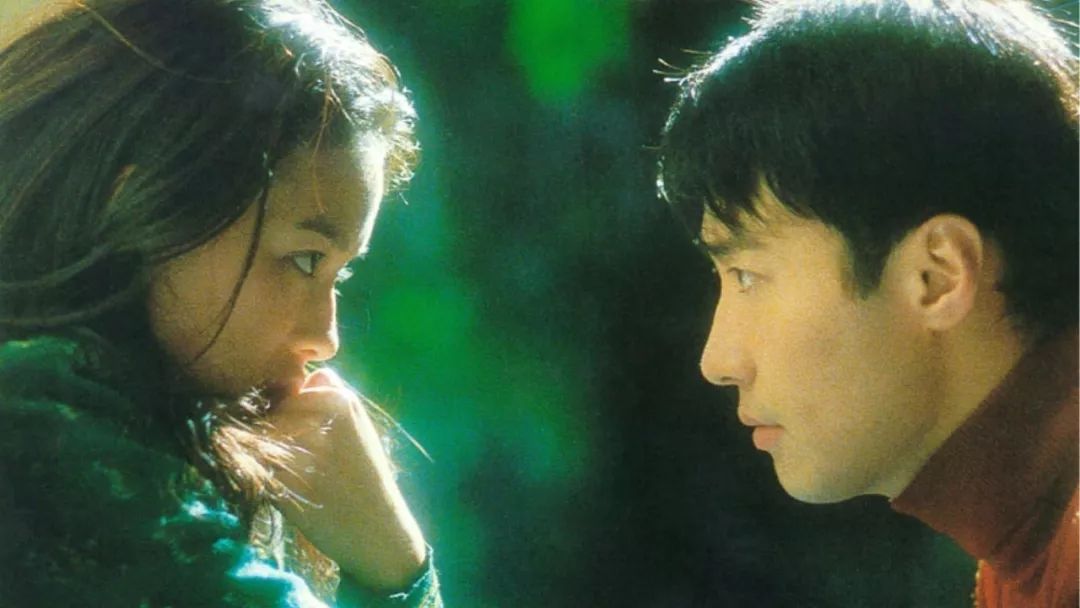 梦回蛇影，自我蜕变与双生奇迹——解析梦中变身蛇并产下女双胞胎的深层含义