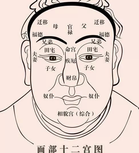 什么是金刚面相 43b5e91df6c041919858bac100f1ceb2.jpeg