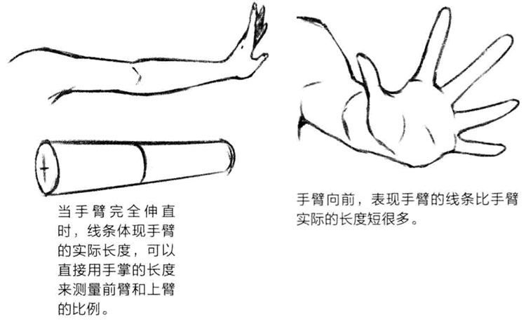 4fbbff9bea464ce582bbcb622bf2c7ab.jpeg