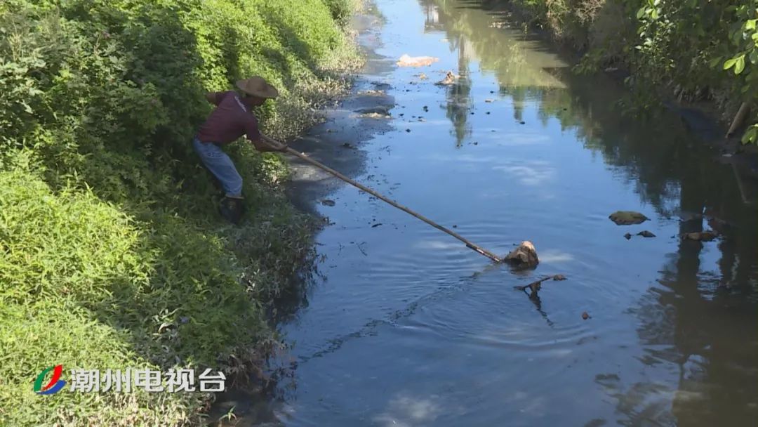 登塘镇人口_人口普查