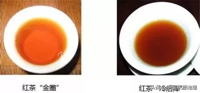 你喝过什么“颜色”的茶汤，茶汤的滋味为何这么丰富？