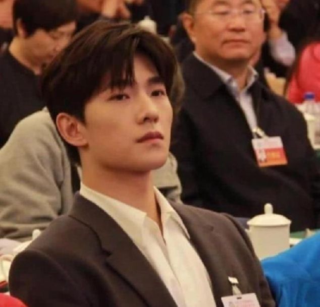央视镜头下的男明星们