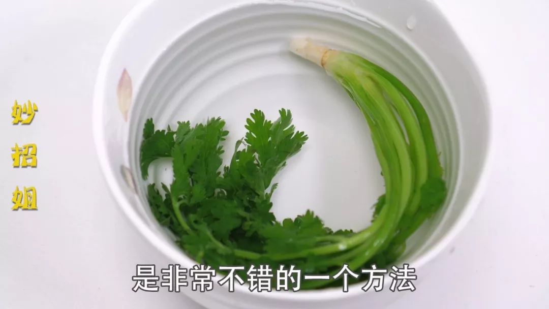 香菜怎么保存不会变鲜 61b722205daa40789f98d07bf43f6c64.jpeg