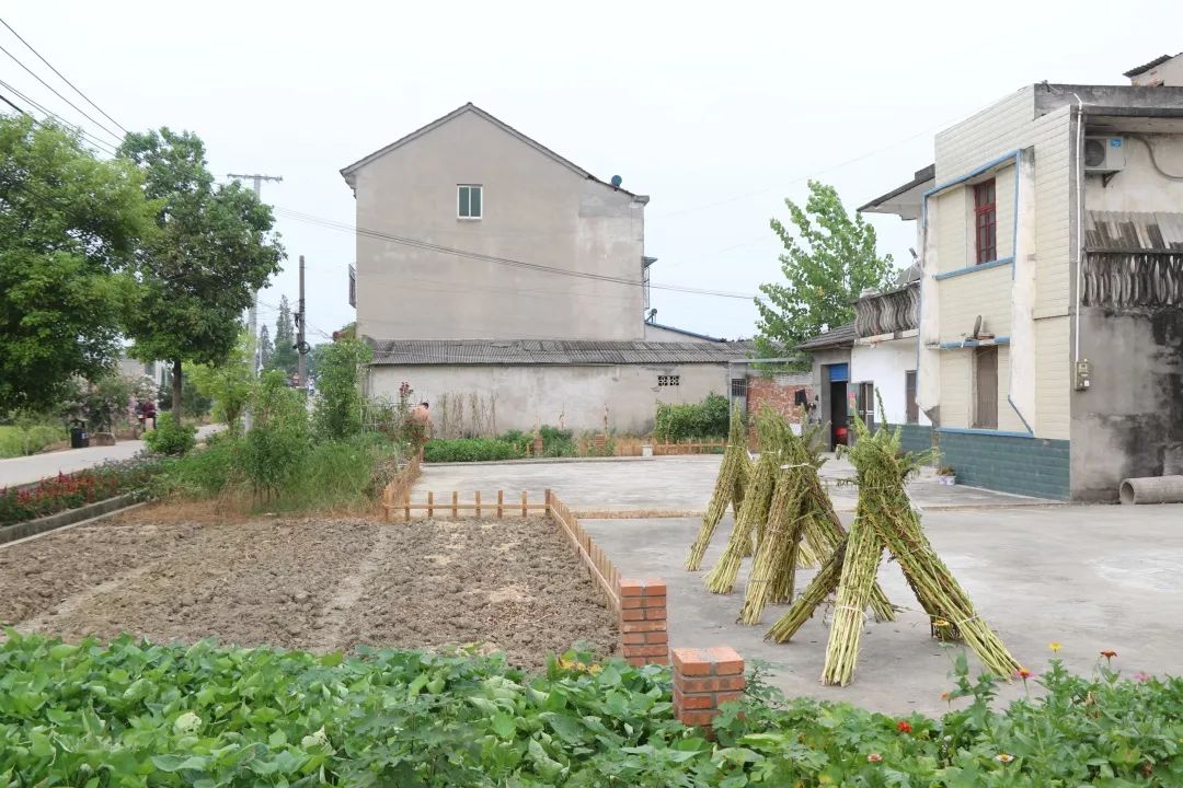 在龚桥村,支部书记吴成雄向大家介绍该村是如何引导