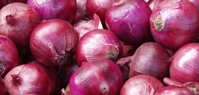 如何种植洋葱 718bca0e1d244a30a8ef9607a84ec309.jpeg