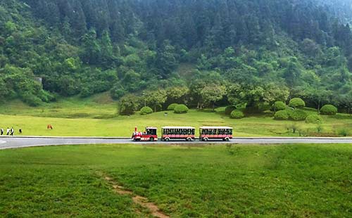 仙女山 2011年7月6日,武隆仙女山国家森林公园风景区正式被国家旅游