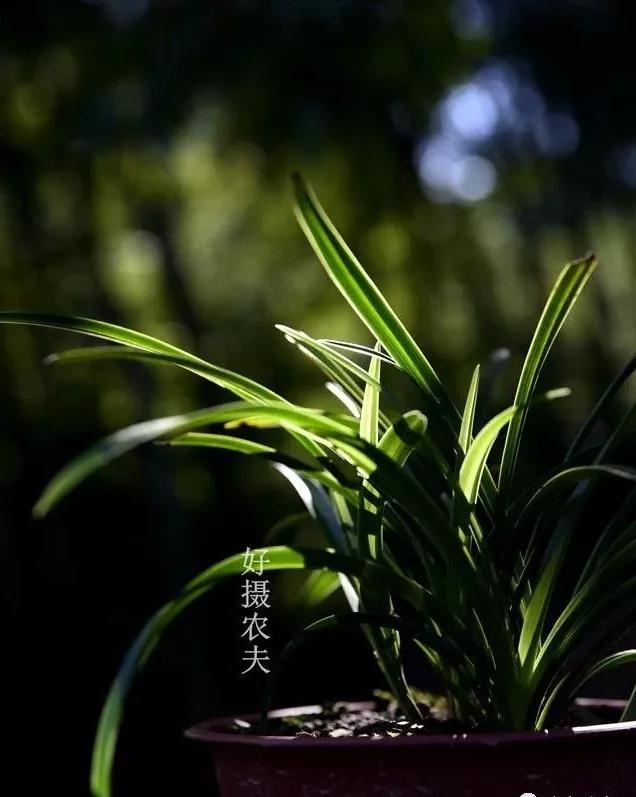 8094cb0c0a734bf89b682ab864b5932c.JPG