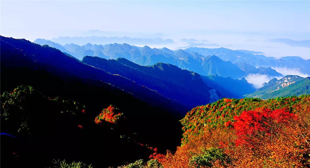 巴山人口_巴山夜雨图片(2)