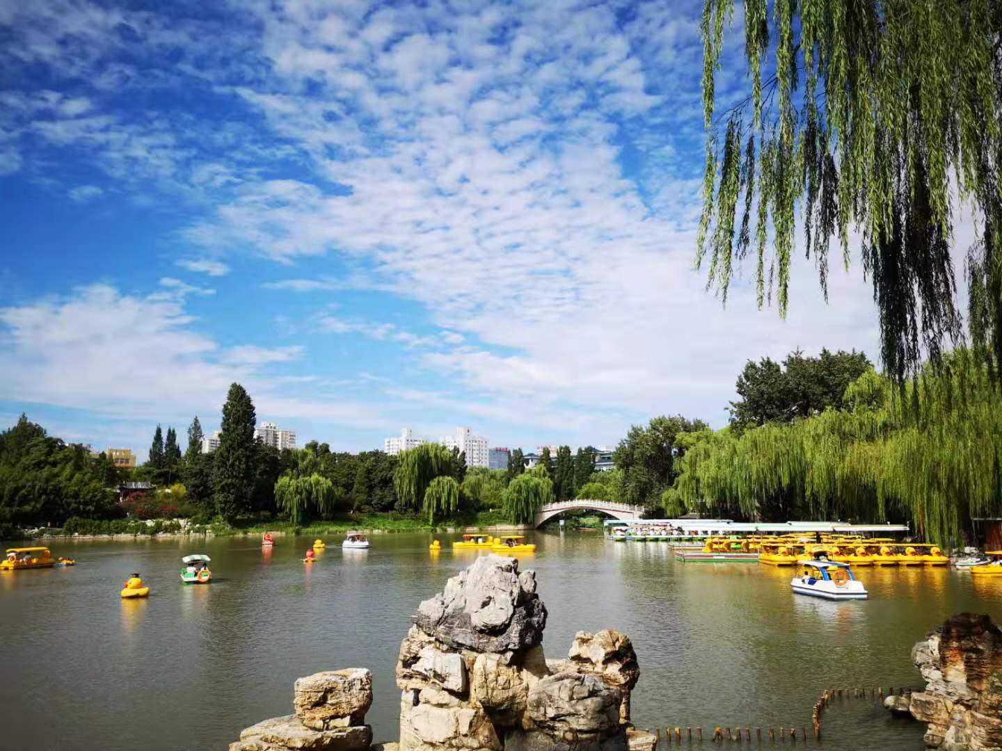 北京紫竹院公园