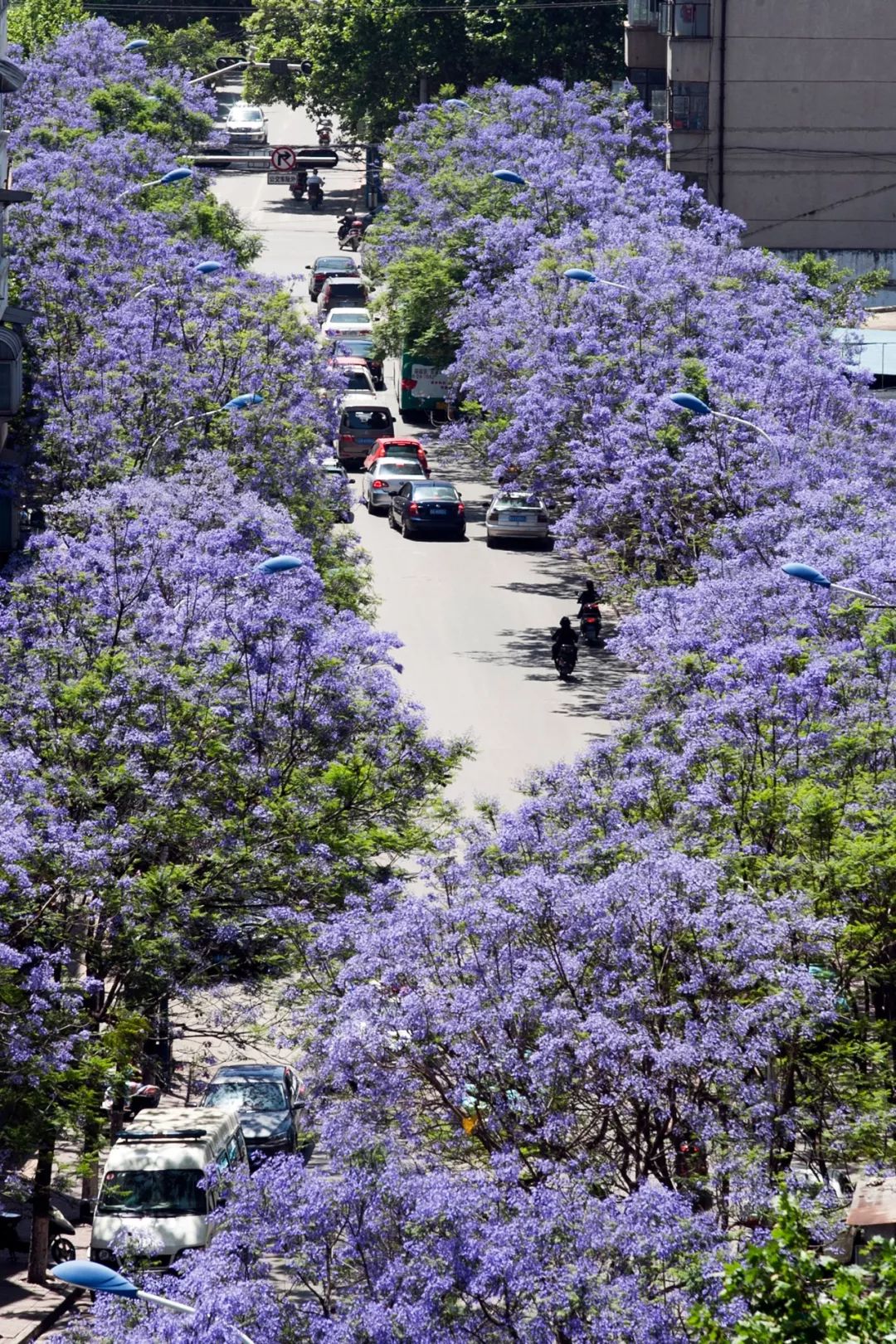 济南米线排行_做好开复工和毕业生就业服务(2)