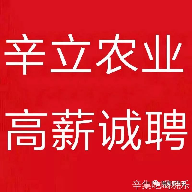 加油站招聘信息_陕西延长石油靖边加油站 原连锁站