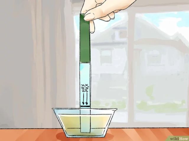 文章配图-4