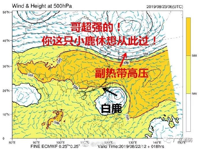 庵埠 人口_潮州庵埠图片(2)